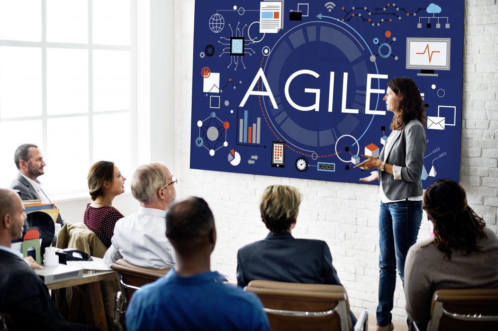 Agile Leadership in Virtual Environments